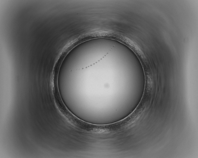 X0000115780582200911201313