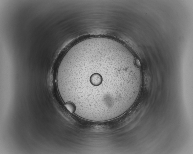 X0000115780584200911201313