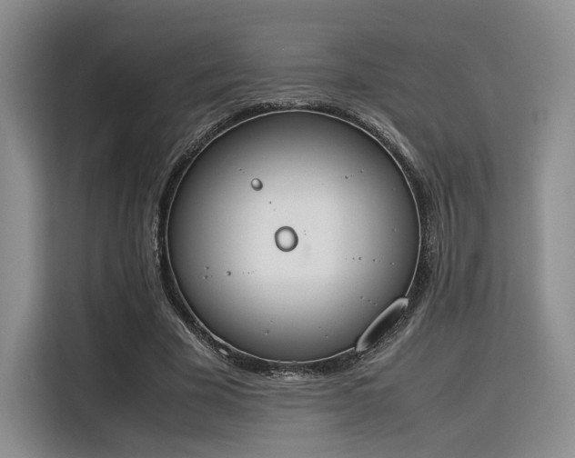 X0000115780585200911201313