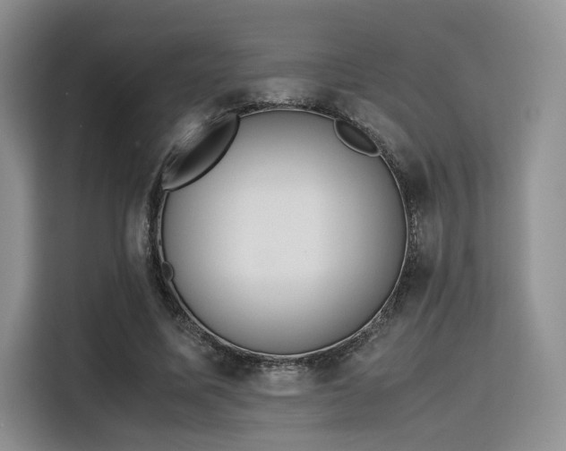 X0000115780587200911201313