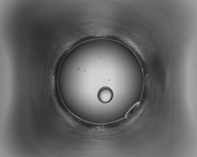 X0000115780589200911201313