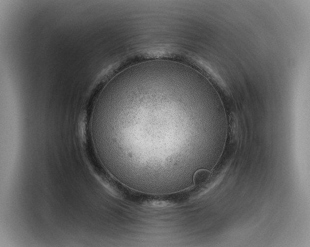 X0000115780590200911201313