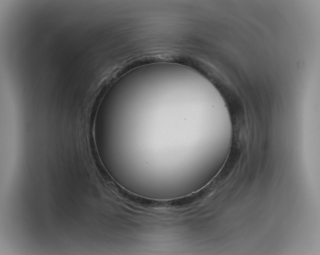 X0000115780595200911201313