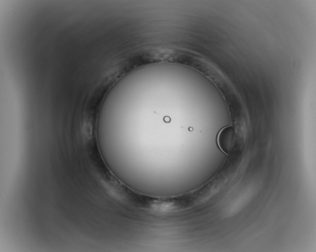 X0000115780602200911201313