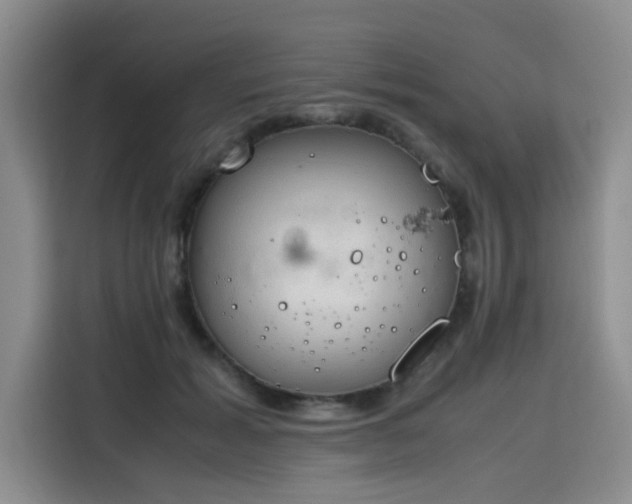 X0000115780605200911201313