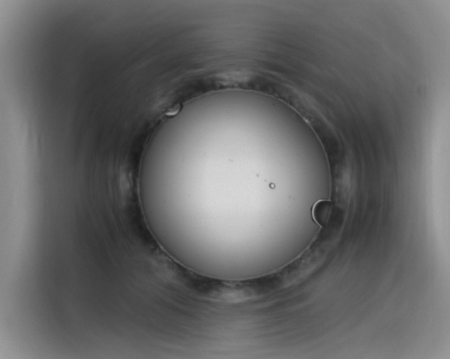 X0000115780608200911201313