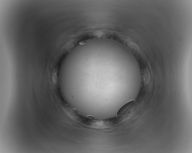 X0000115780611200911201313