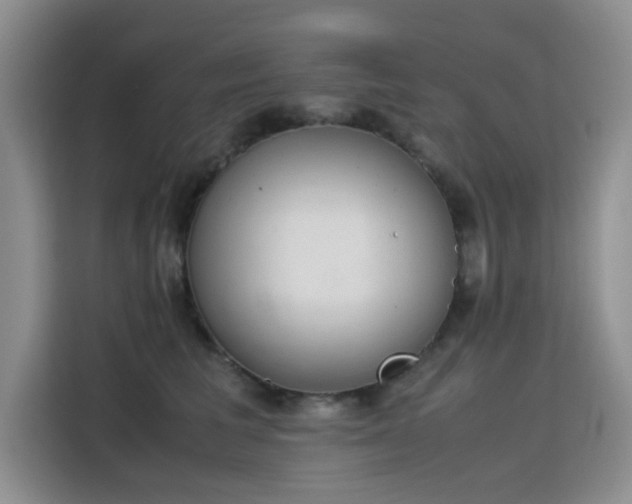 X0000115780613200911201313