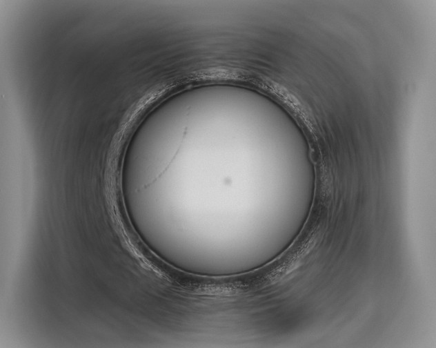 X0000115780625200911201312