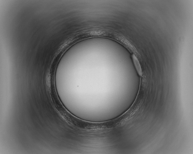 X0000115780626200911201312