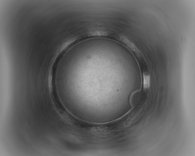 X0000115780627200911201312