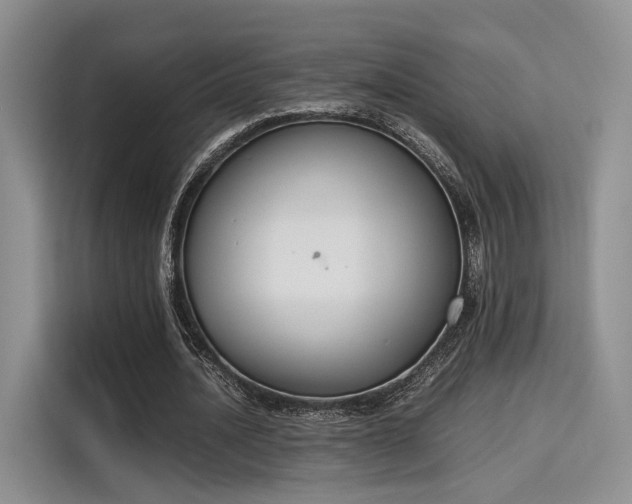 X0000115780628200911201312