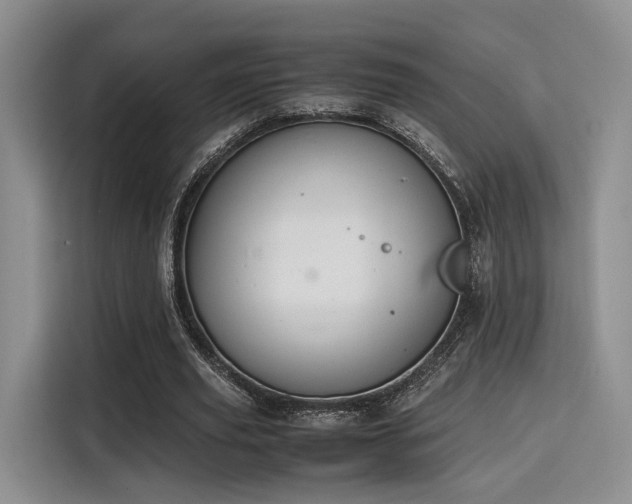 X0000115780629200911201312