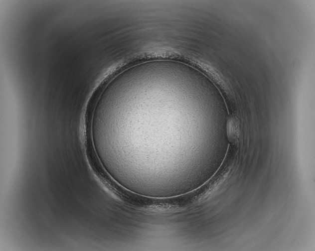 X0000115780630200911201312