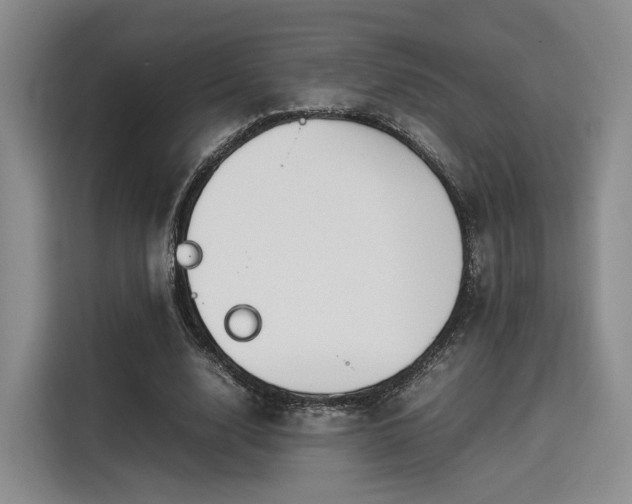 X0000115780632200911201312