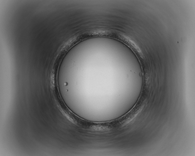 X0000115780633200911201312