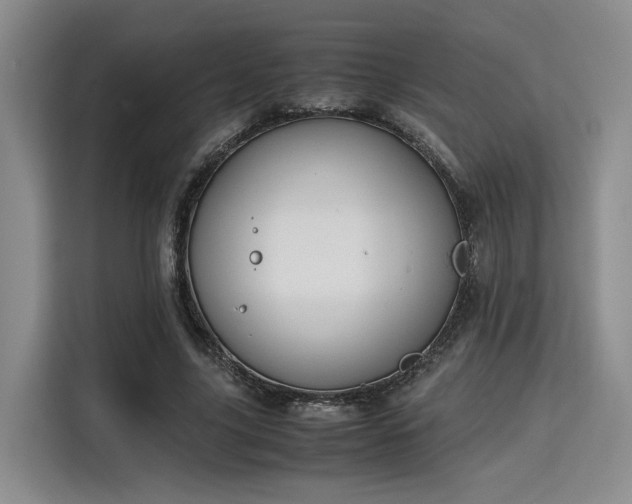 X0000115780635200911201312