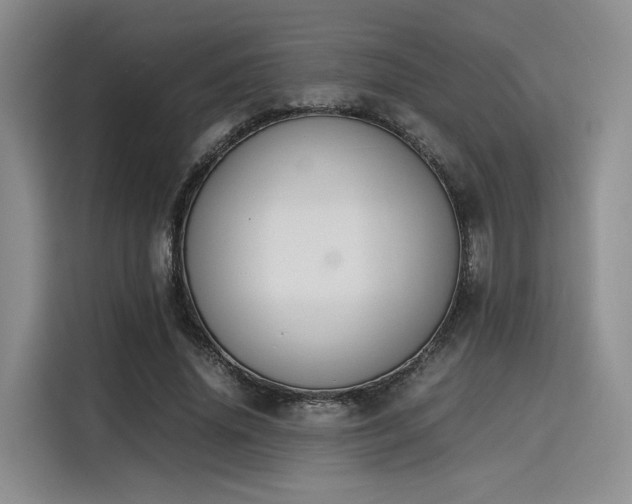 X0000115780636200911201312