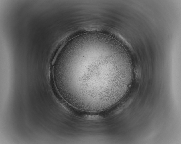 X0000115780637200911201312