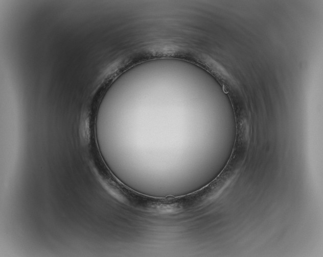 X0000115780638200911201312