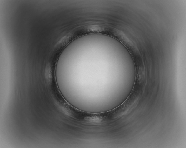 X0000115780639200911201312