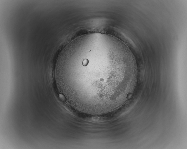 X0000115780641200911201312