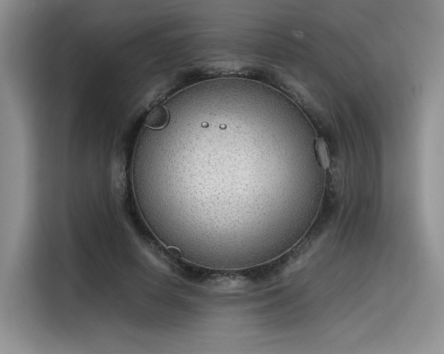X0000115780642200911201312