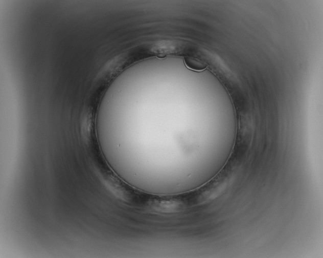 X0000115780645200911201313