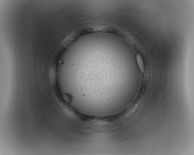 X0000115780648200911201313