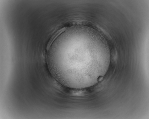 X0000115780661200911201313