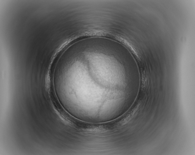 X0000115780674200911201312