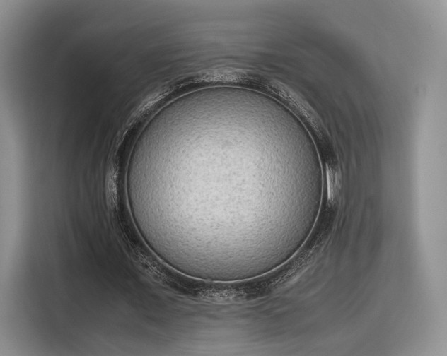 X0000115780675200911201312