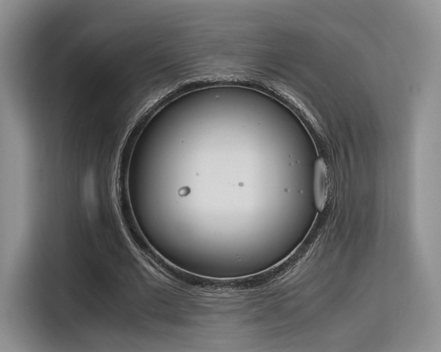 X0000115780677200911201312