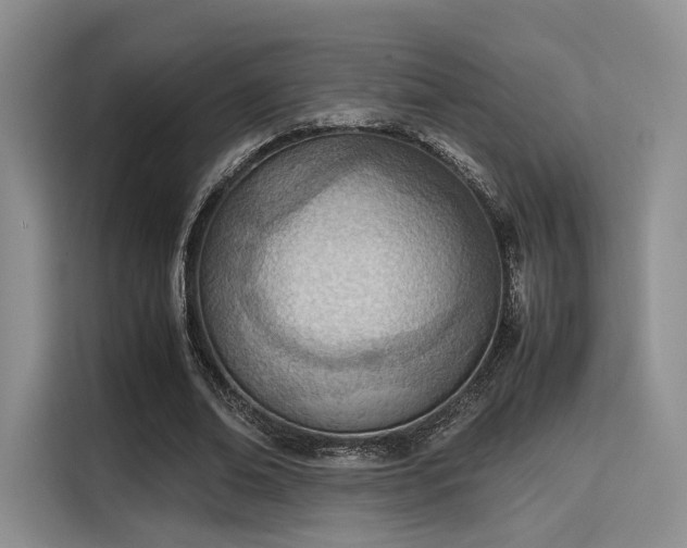 X0000115780678200911201312
