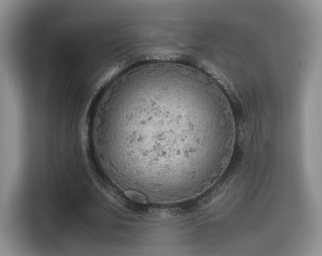 X0000115780679200911201312