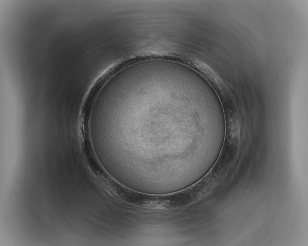 X0000115780680200911201312