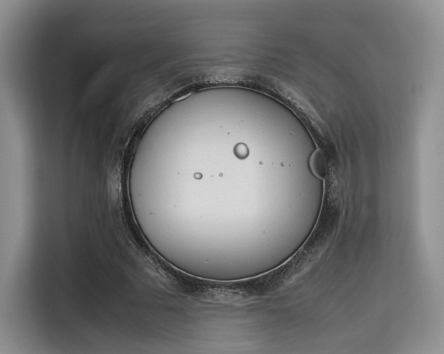 X0000115780681200911201312