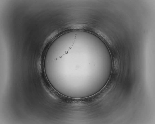 X0000115780682200911201312