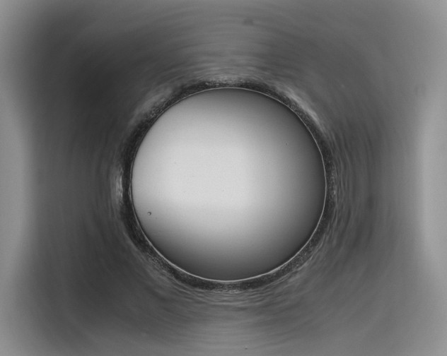 X0000115780685200911201312