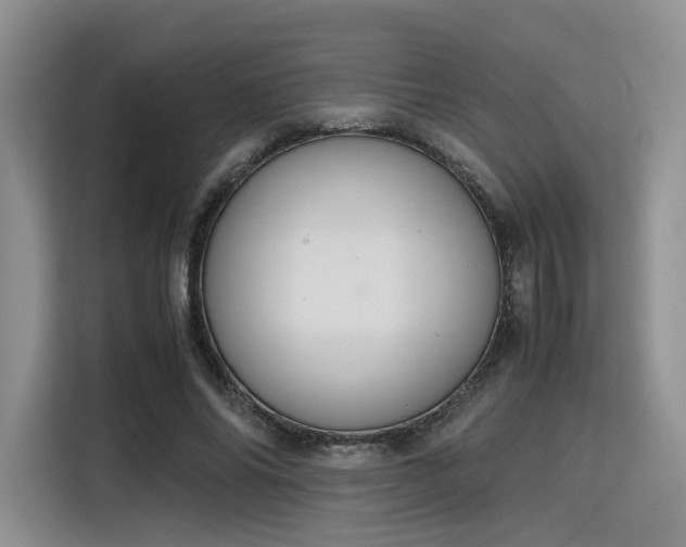 X0000115780686200911201312