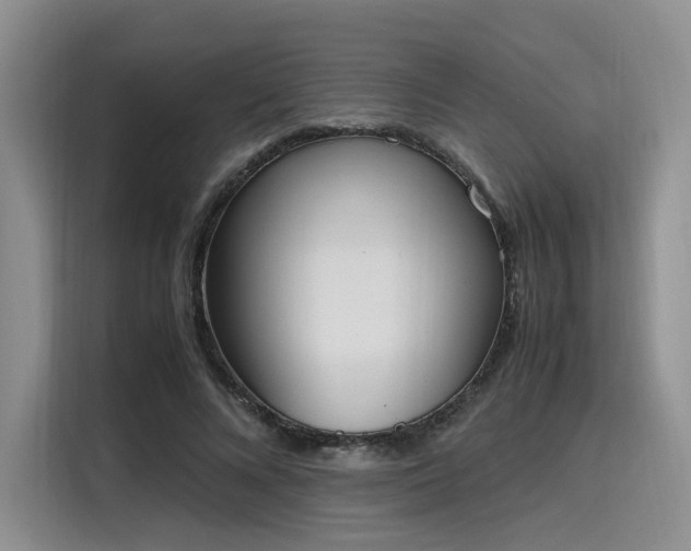 X0000115780688200911201312