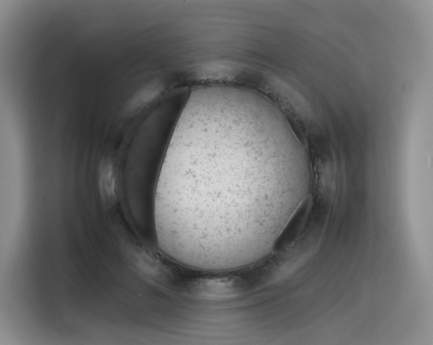 X0000115780692200911201312