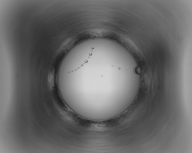 X0000115780694200911201312