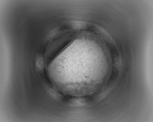 X0000115780696200911201312