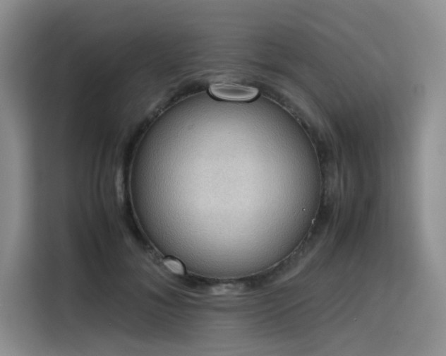 X0000115780700200911201312