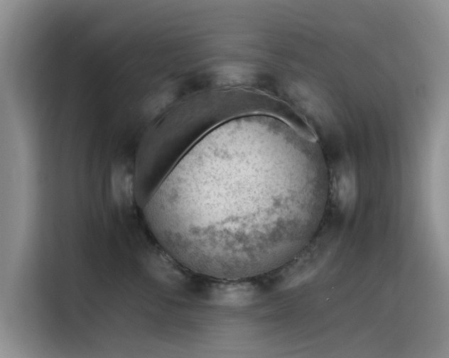 X0000115780716200911201312