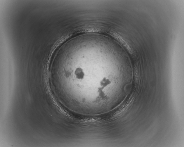 X0000115780721200911201311