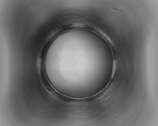 X0000115780722200911201311