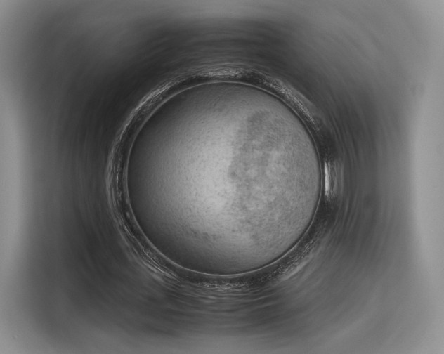 X0000115780723200911201311