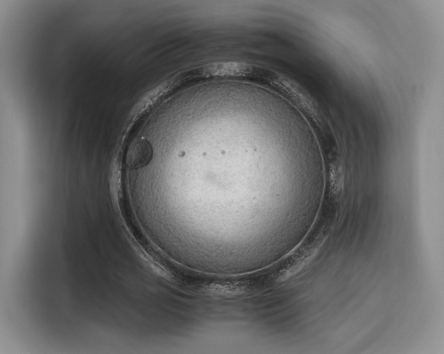 X0000115780725200911201311